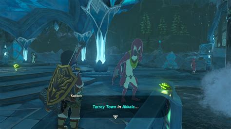 botw tarrey town zora.